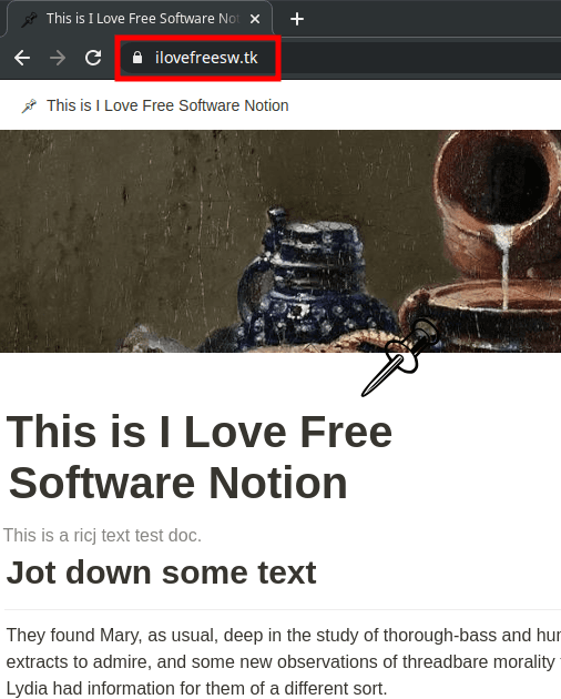 notion page custom domain in action