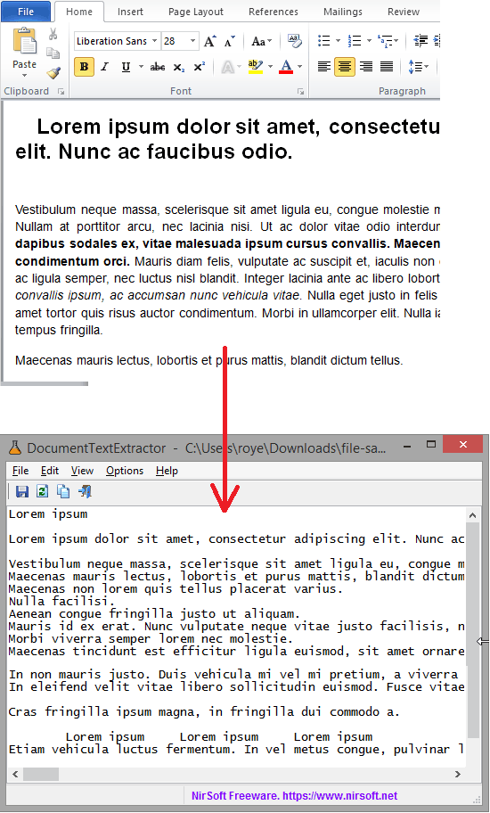document text extractor in action