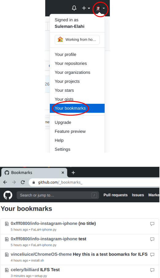 GitHub Bookamarks in GitHub Profile
