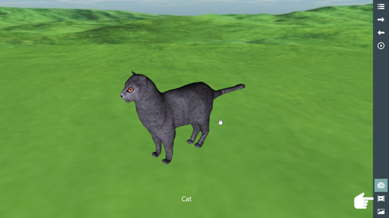 3D Cat