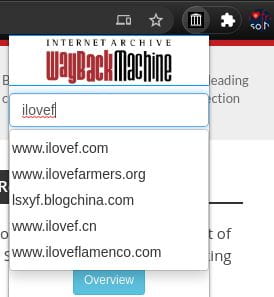 wayback machine search