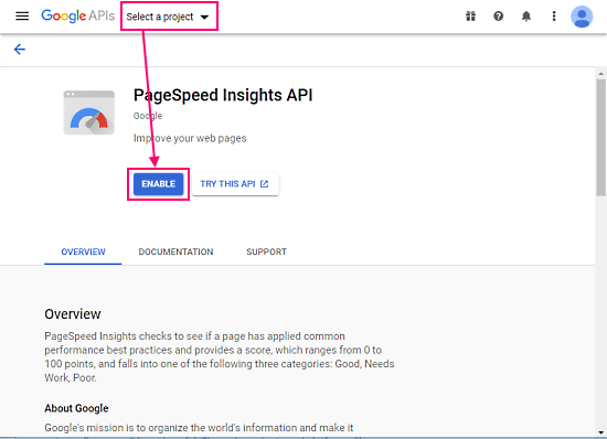 enable the pagespeed checker api