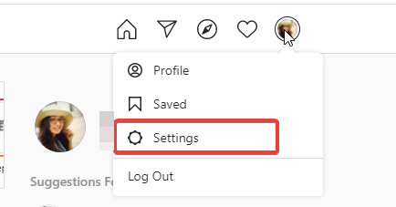 Instagram Profile Settings