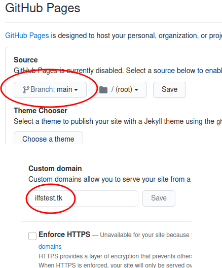 GitHub Pages domain settings