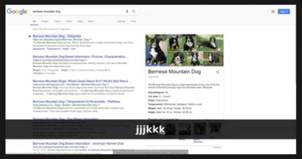 Add Keyboard Shortcuts To Google Amazon YT Web Search Navigator