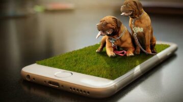 Free App for Pet Owners to Manage Pet Activities and Events DogNote