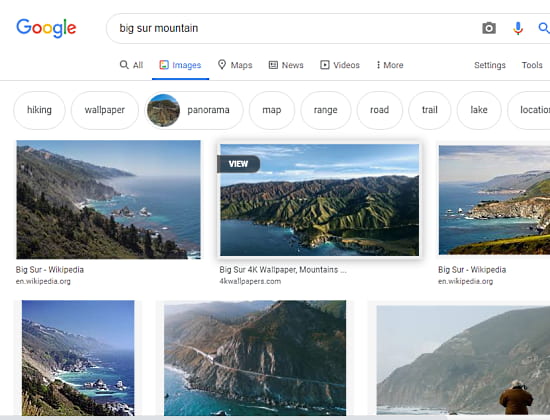 google image search with GooglePanicImages