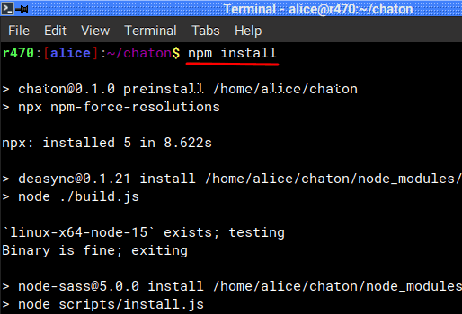chaton npm install