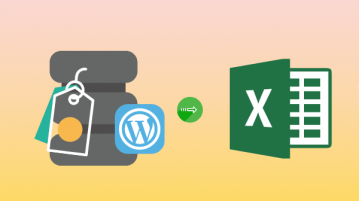 Get all WordPress Tags List in Excel