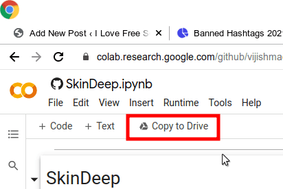 DeepSkin Copy Notebook to Drive