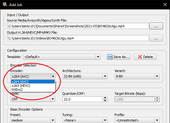Simple x264 x265 Launcher job settings