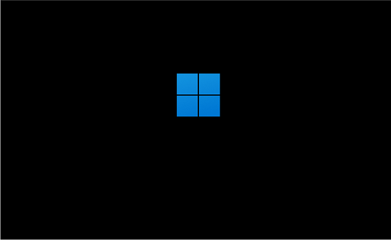 Windows 11 Boot Logo