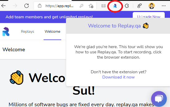 ReplayQA Extension