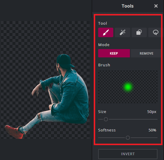 Pixlr Main Background Remover Tools
