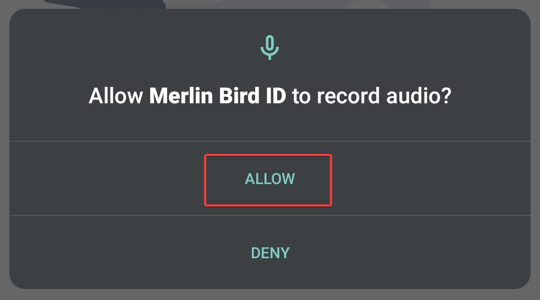 Allow access to record audio