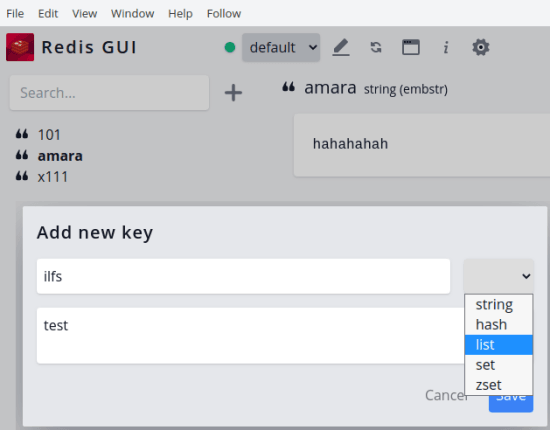 Redis GUI add a new key