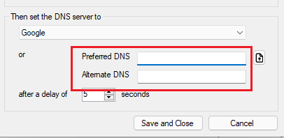 DNS Roaming Custom DNS