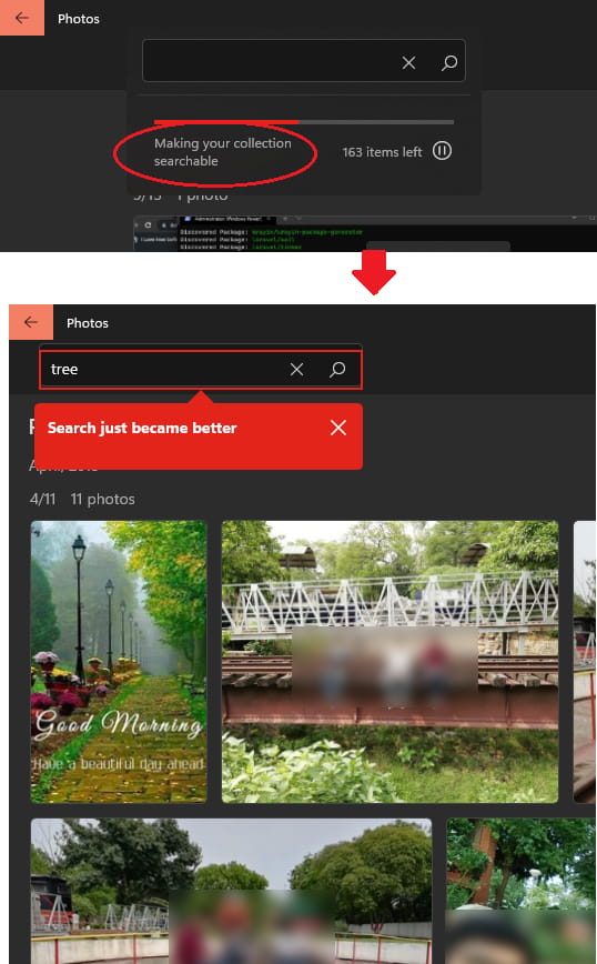 Windwos Photos App Searchable Collection