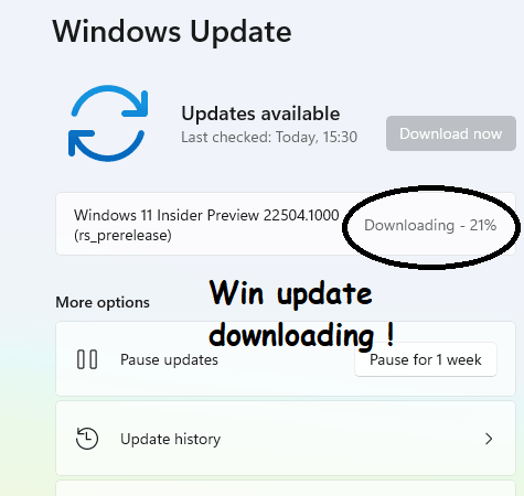 Update Downloading Normally