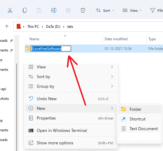 Default Folder Name Changed in Window s11