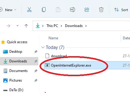 OpenInternetExplorer EXE