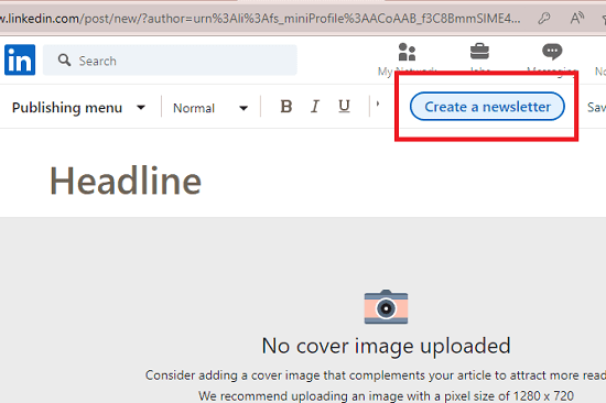 Create Newsletter Option