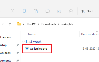 ws4sqlite EXE File