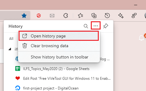 Edge Open History Page