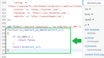 WordPress Theme Functions Canonical Redirect Code