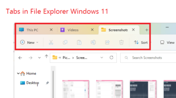 How to Enable and Use Tabs in Windows 11 File Explorer