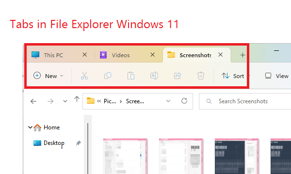 How to Enable and Use Tabs in Windows 11 File Explorer