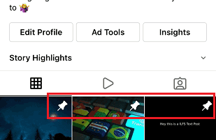 Instagram Pinned Posts on Profile
