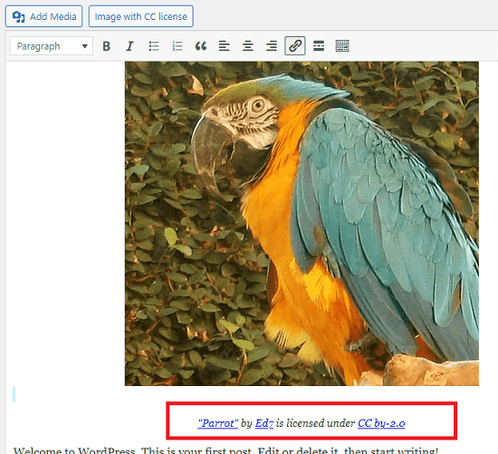 Easy search and use CC-licensed images for WP