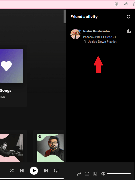 Spotify Friend Activity Panel Enabled
