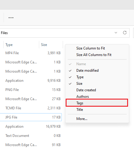 Enable Tags View in Explorer