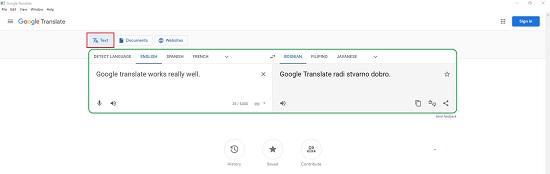 Google Translate portable