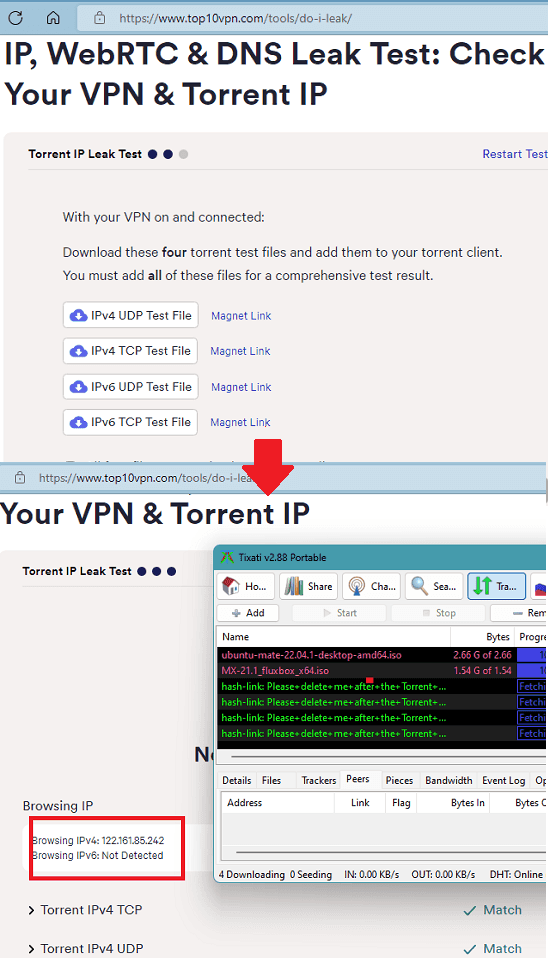 Do I leak torrent IP Checker