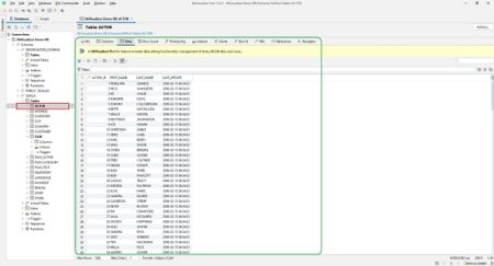 Free Universal Database Viewer Software for Windows: DbVisualizer
