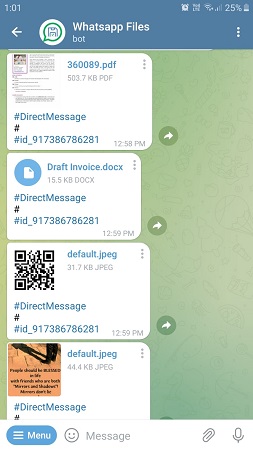 Telegram App