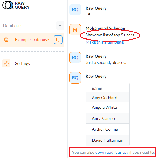 Raw Query CSV Data Export with Natural Language Query