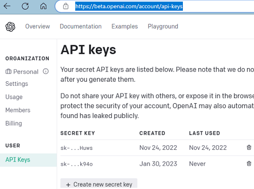 OpenAI API Keys