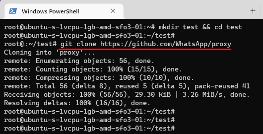 WhatsApp Proxy Git Clone