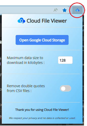 Cloud File Viewer Interface