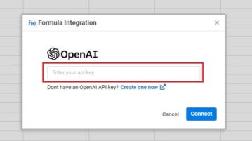 Input Open API key