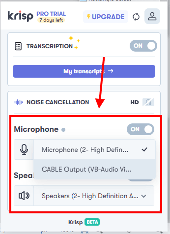 Krisp AI Audio Settings