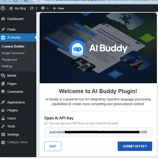 AI Buddy Set API Key