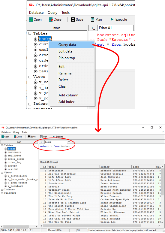 SQLite GUI Query Data