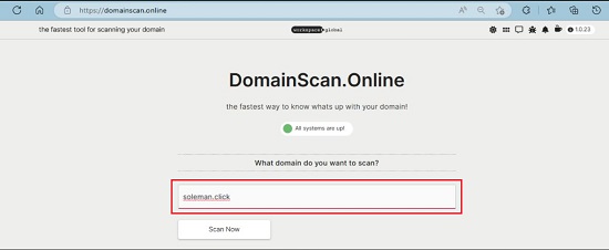 Type domain name