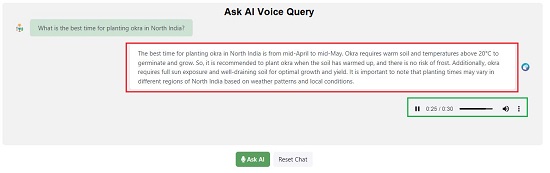 Ask AI Voice response