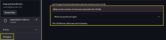 CSV Agent query